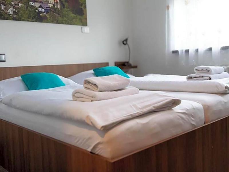 Hotel Pod Radnici image