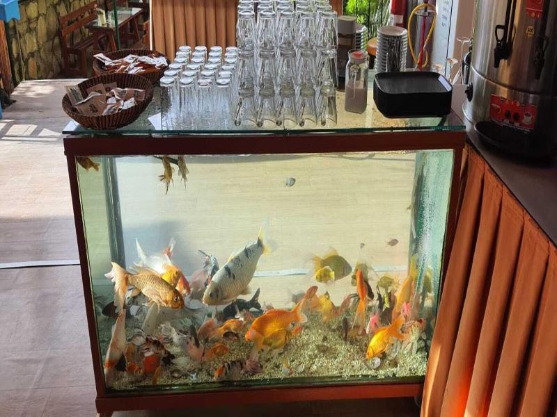 Grand Yayla Hotel image