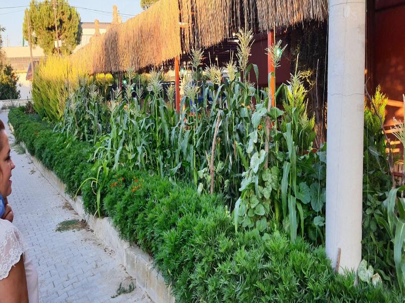 Grand Yayla Hotel image