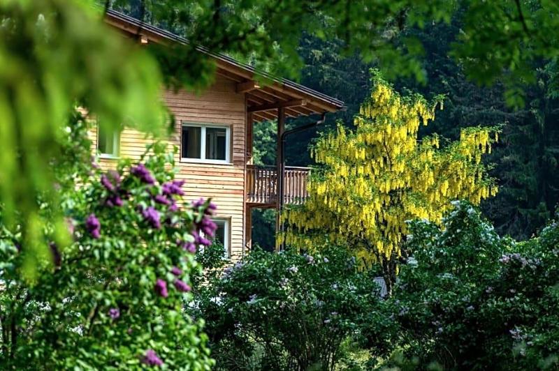 Hotel Bad Ratzes image