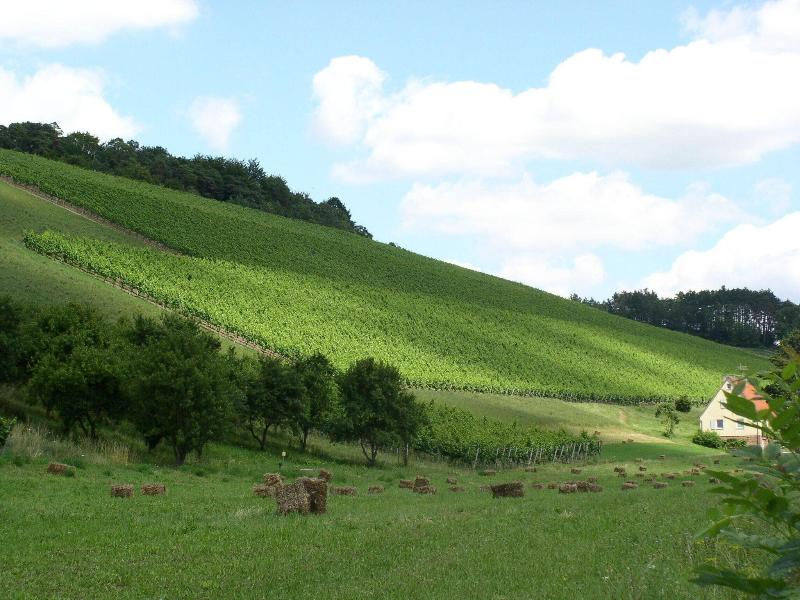 Hotel Mainblick image