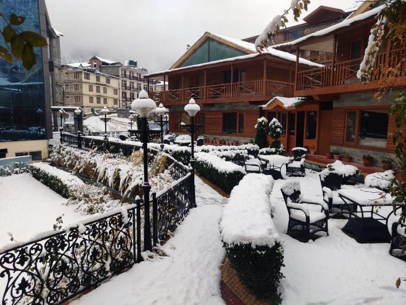 Hotel Daffodil image