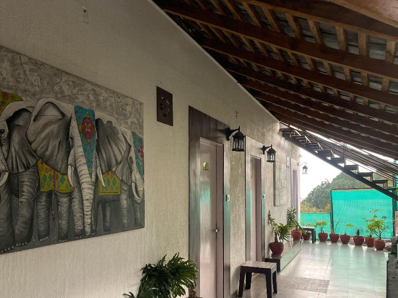 The Exotica image