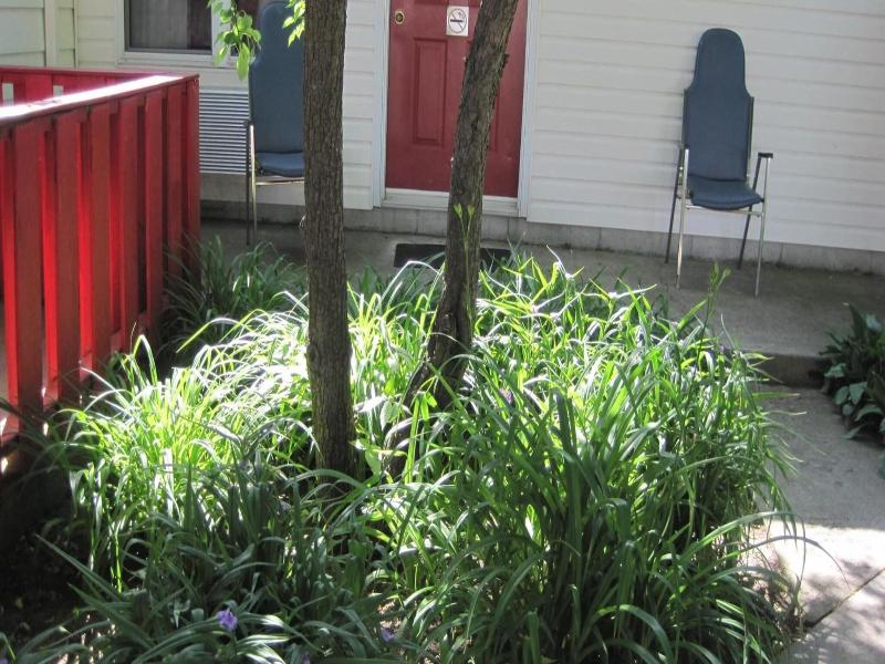 Rosecourt Motel image
