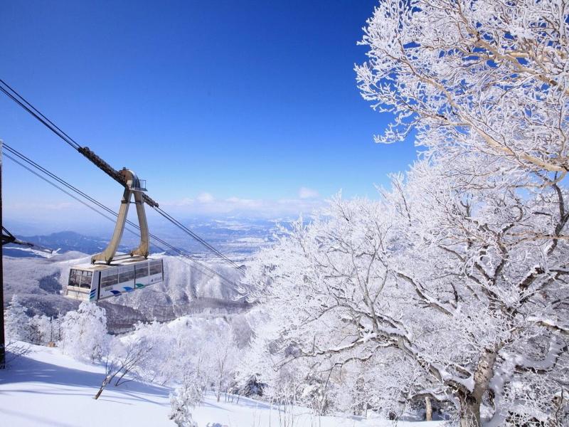 Ryuoo Park Hotel image