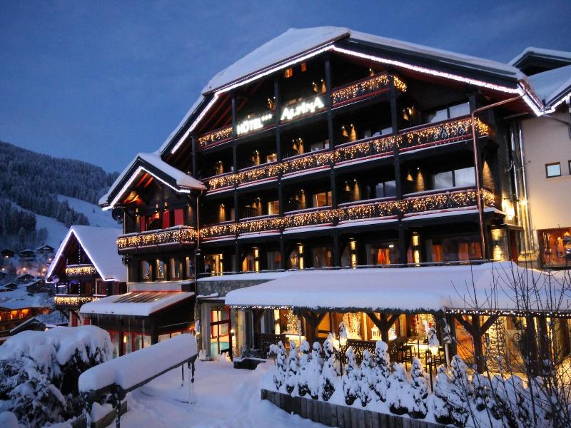 Hotel Alpina image