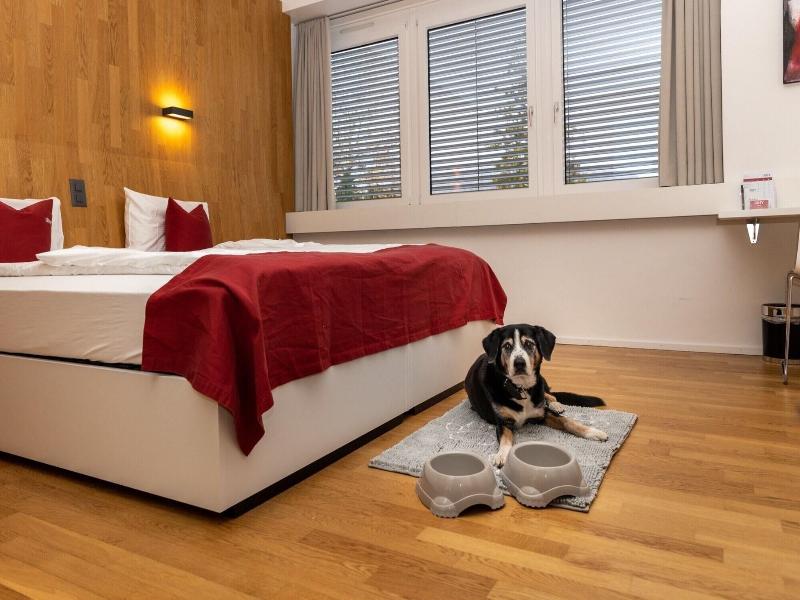 Hotel Rhy image