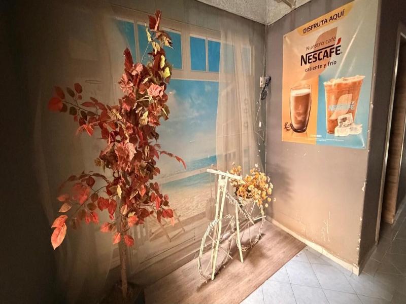 Hotel Muy image