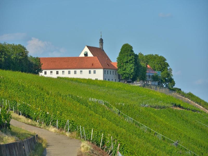 Vogelsburg image