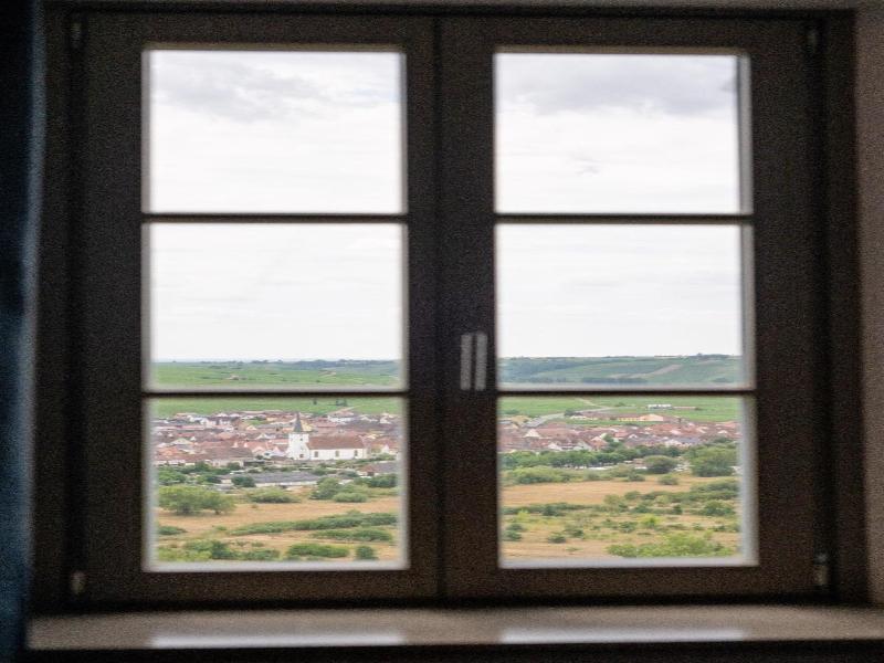Vogelsburg image