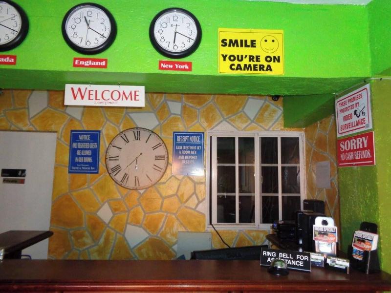 Tropical Manor Inn image
