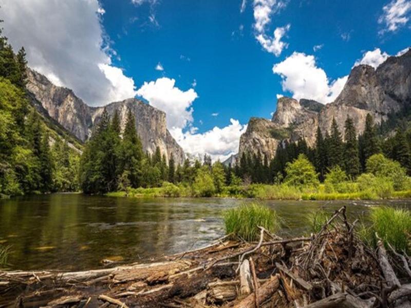 Rush Creek Lodge & Spa At Yosemite image