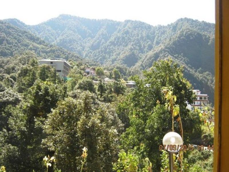 Janardan Resort Pangot