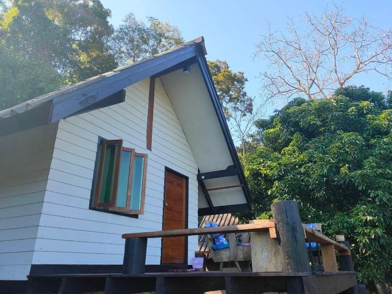 Jungle Guesthouse