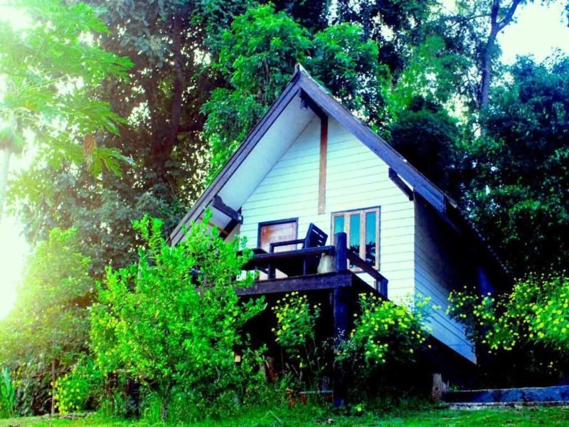 Jungle Guesthouse
