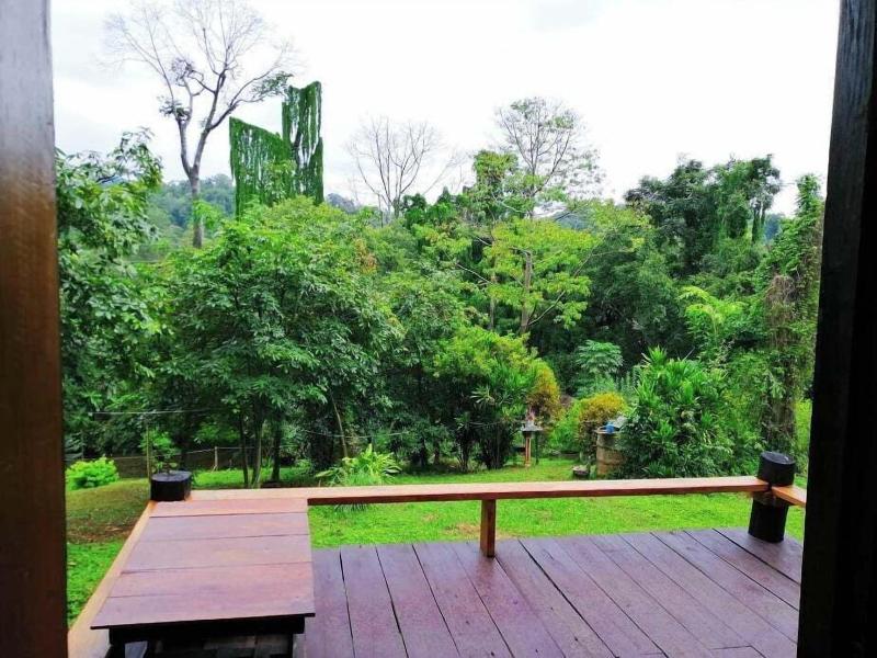 Jungle Guesthouse
