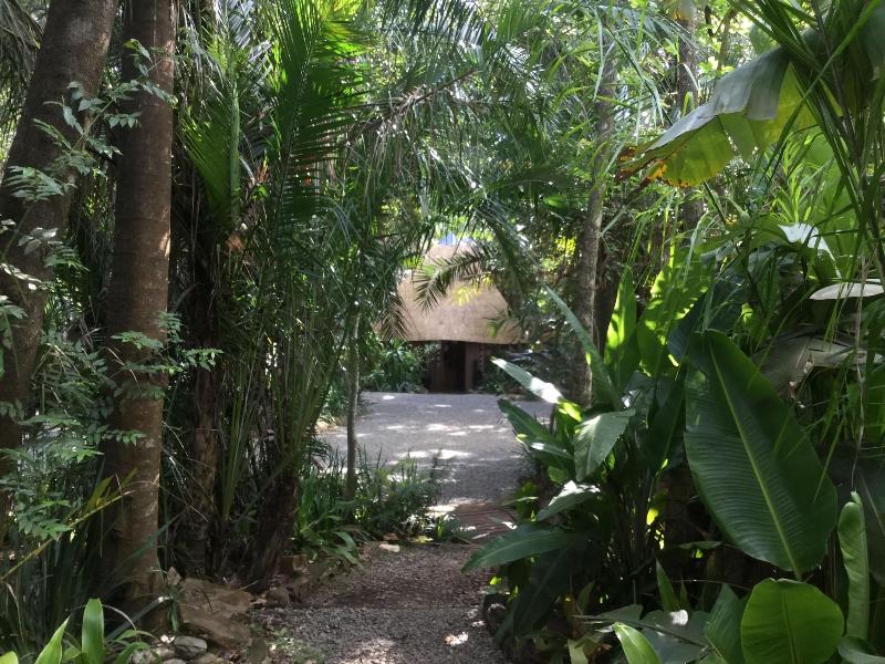 Phophonyane Falls Ecolodge image