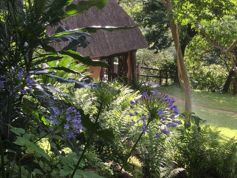 Phophonyane Falls Ecolodge image