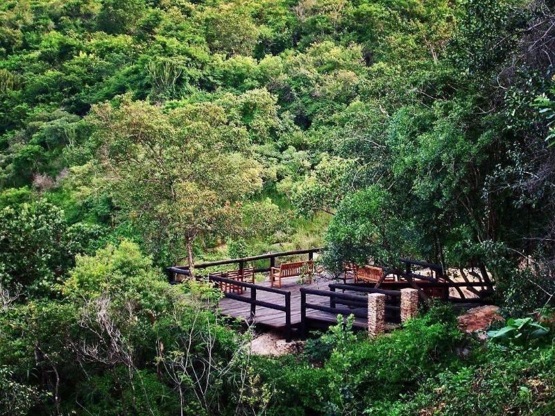 Phophonyane Falls Ecolodge image