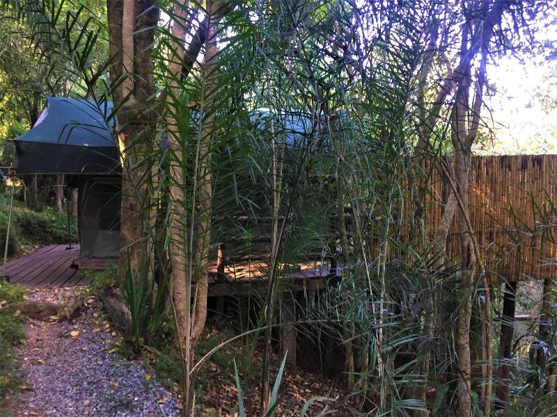 Phophonyane Falls Ecolodge image