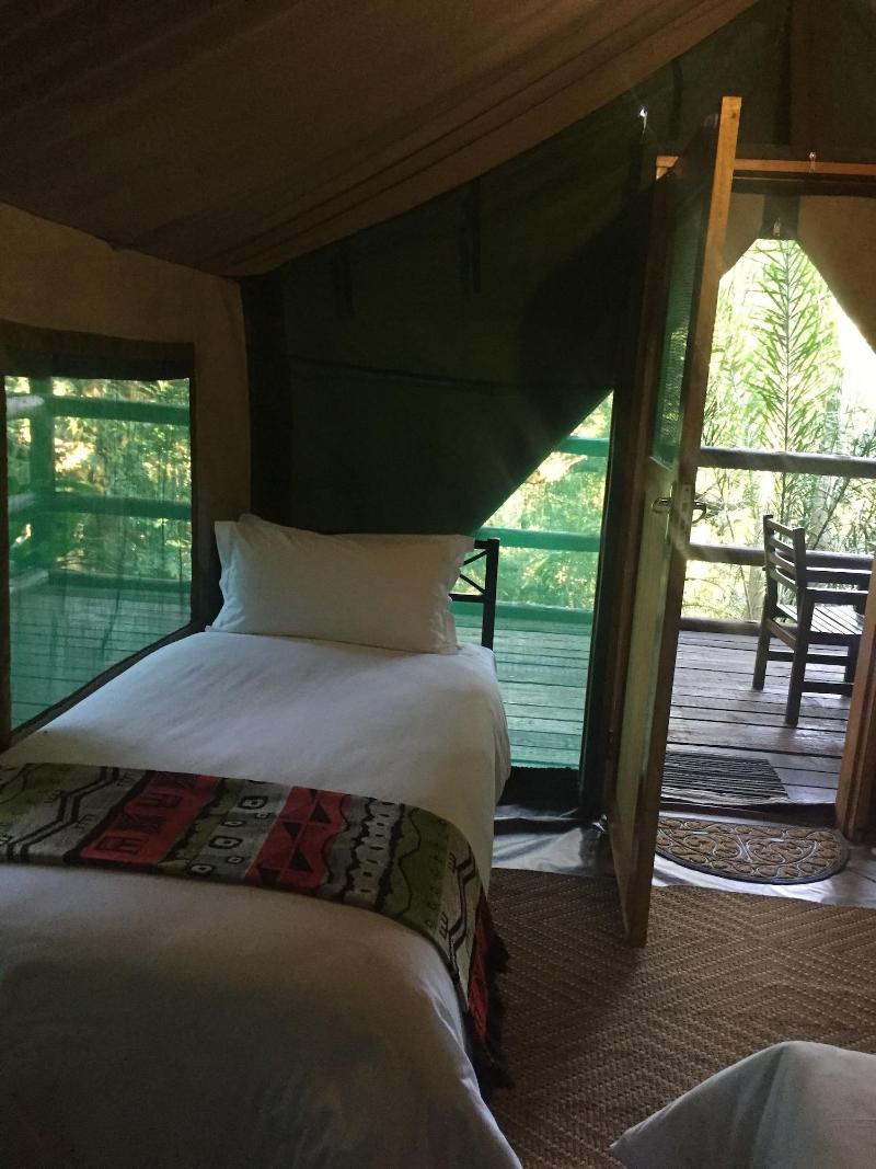 Phophonyane Falls Ecolodge image