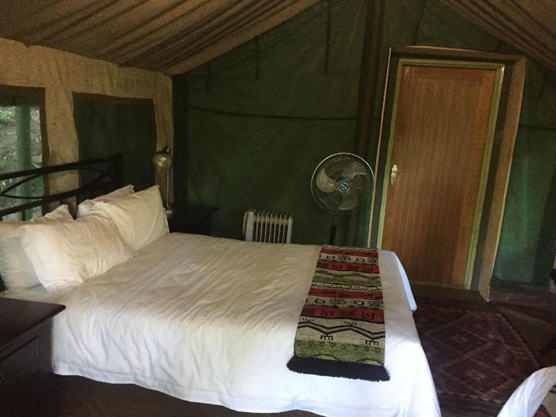 Phophonyane Falls Ecolodge image