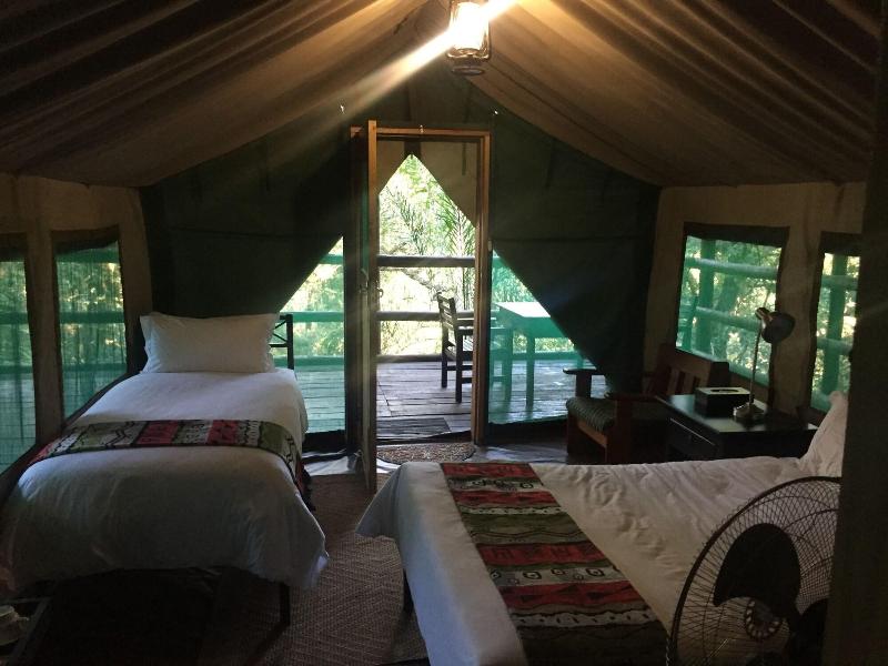 Phophonyane Falls Ecolodge image