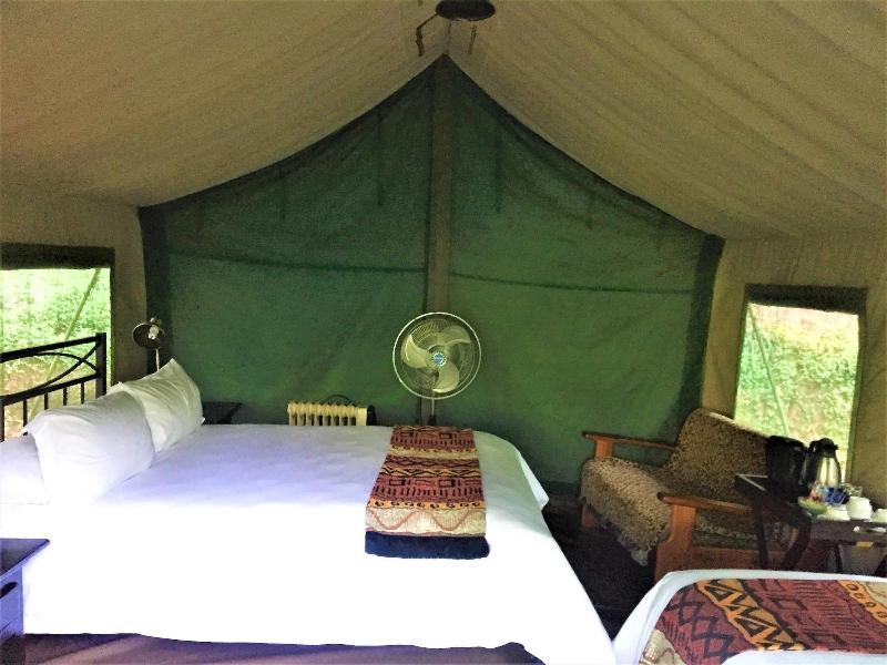 Phophonyane Falls Ecolodge image
