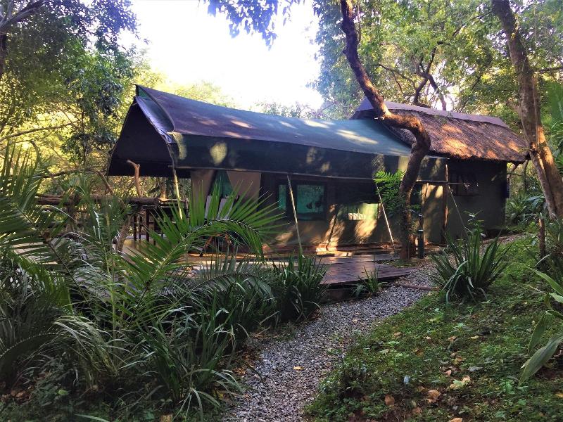 Phophonyane Falls Ecolodge image