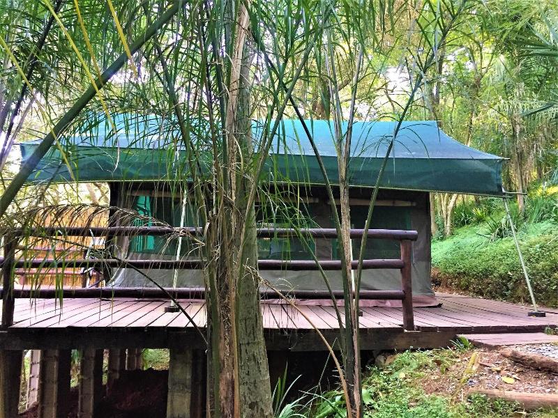 Phophonyane Falls Ecolodge image