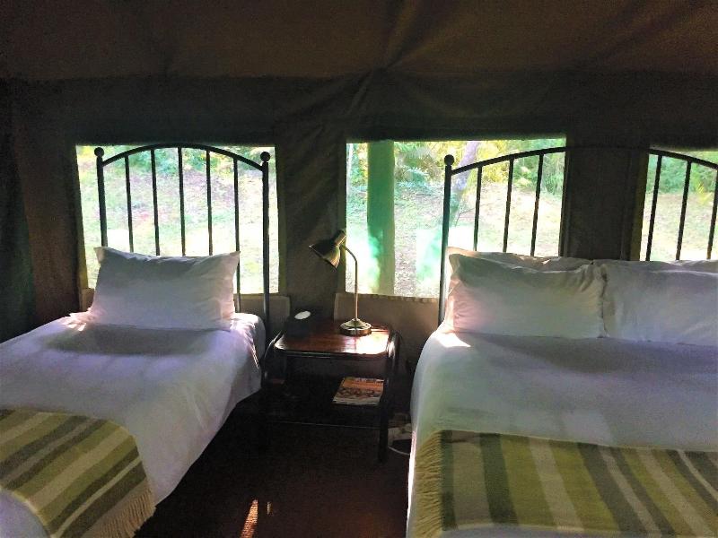 Phophonyane Falls Ecolodge image