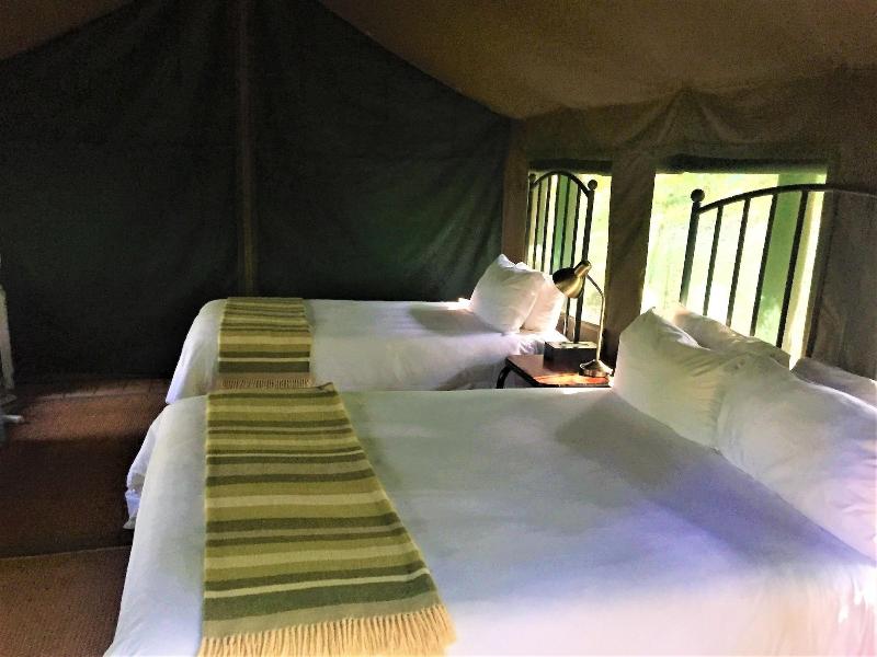 Phophonyane Falls Ecolodge image