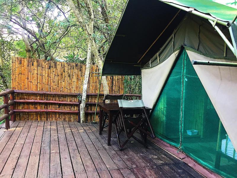 Phophonyane Falls Ecolodge image