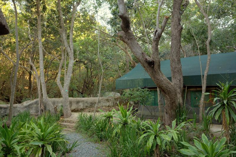 Phophonyane Falls Ecolodge image