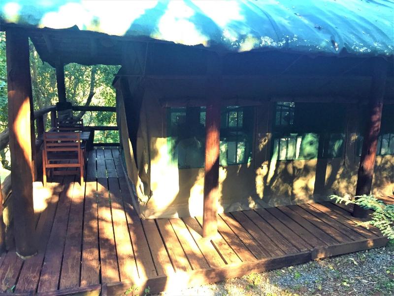 Phophonyane Falls Ecolodge image