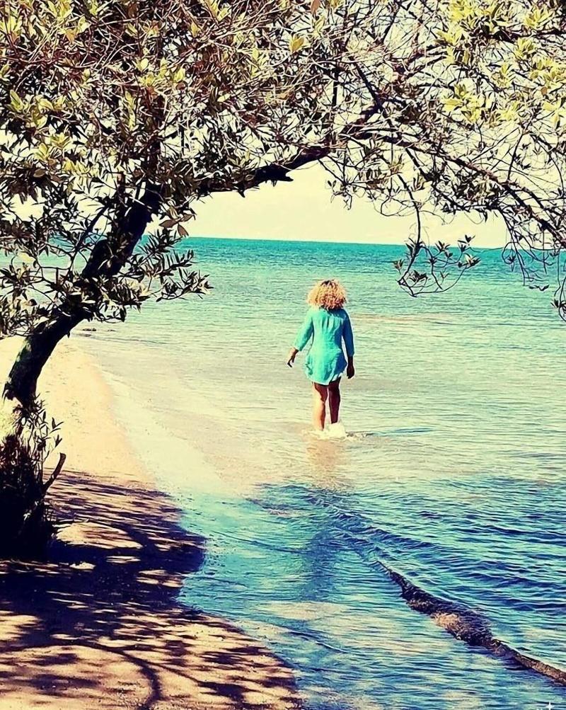 Evasion