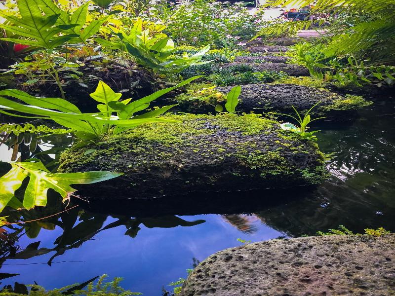 Gingerhill Farm Retreat