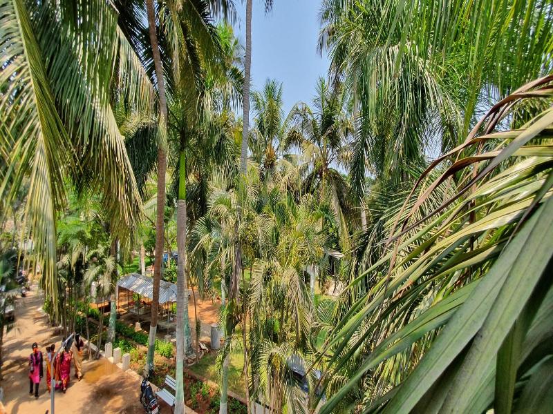 Rk Resorts image