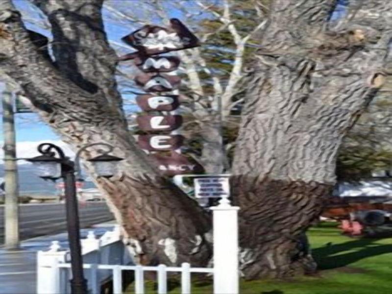 Silver Maple Inn And The Cain House