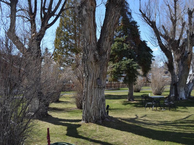 Silver Maple Inn And The Cain House