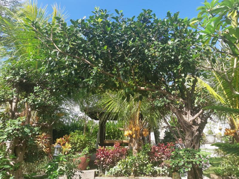 The Muaya Villa image