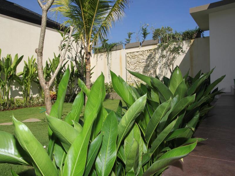 The Muaya Villa image