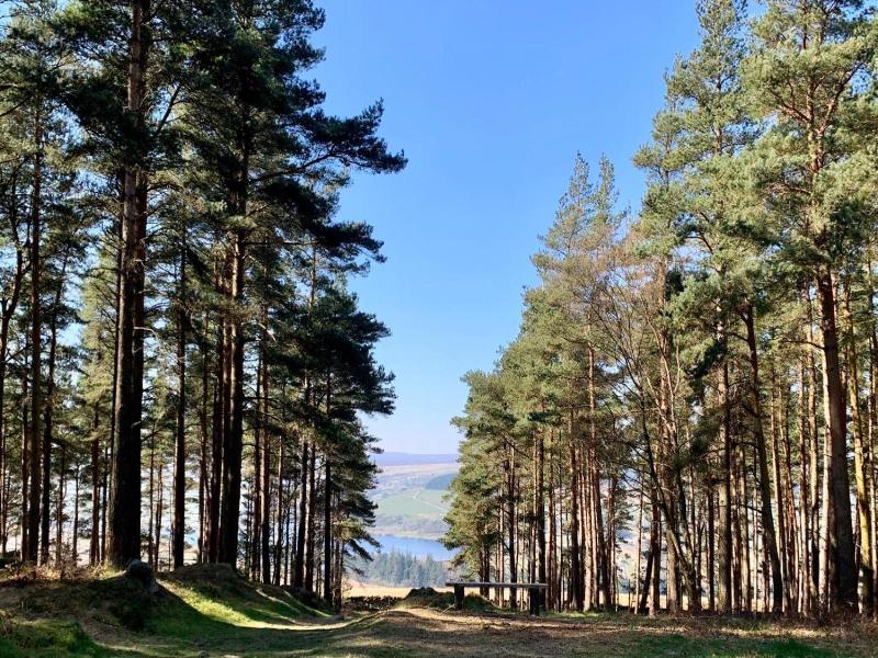 Swinton Bivouac image