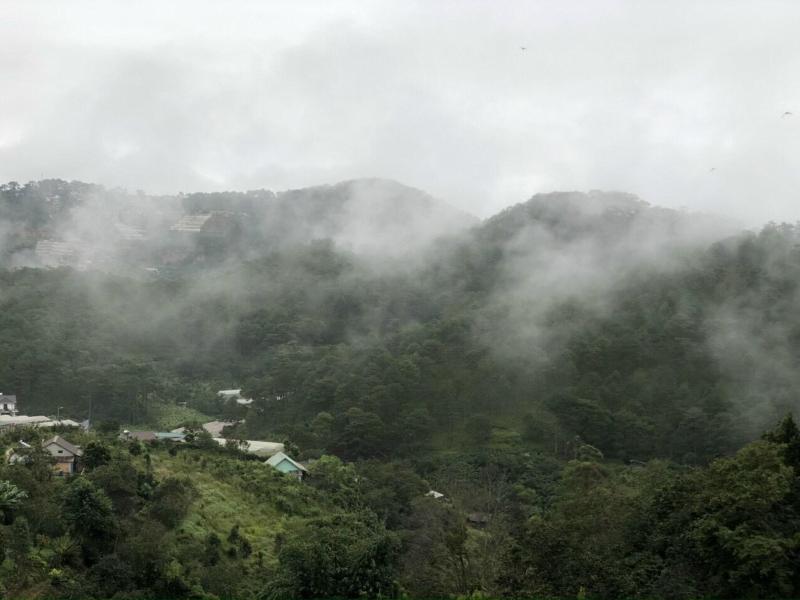 D House Dalat