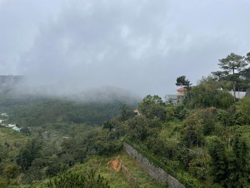 D House Dalat