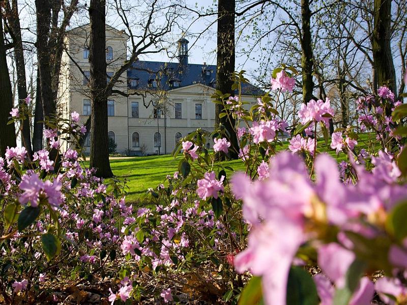 Chateau Mcely Hotel image