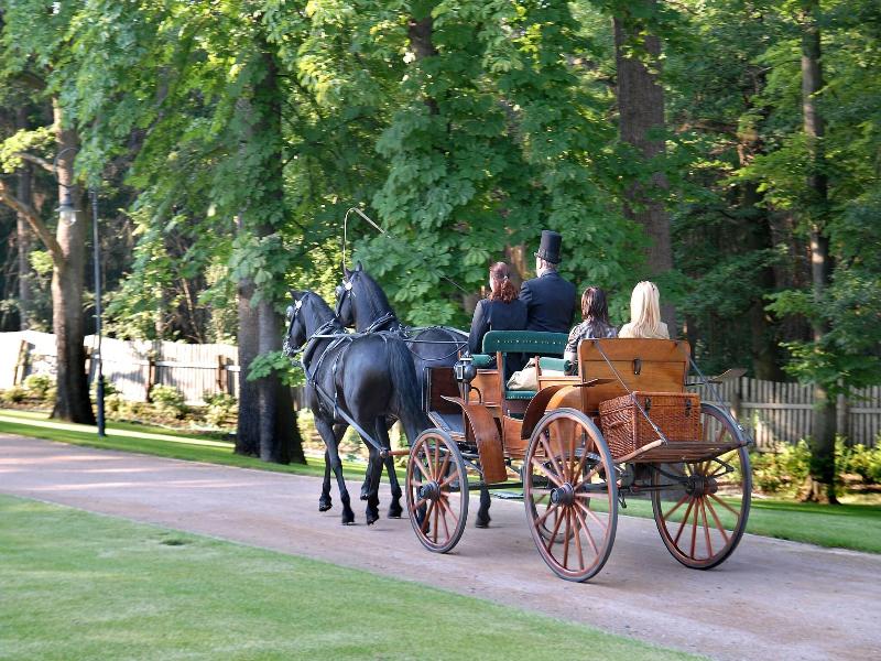 Chateau Mcely Hotel image