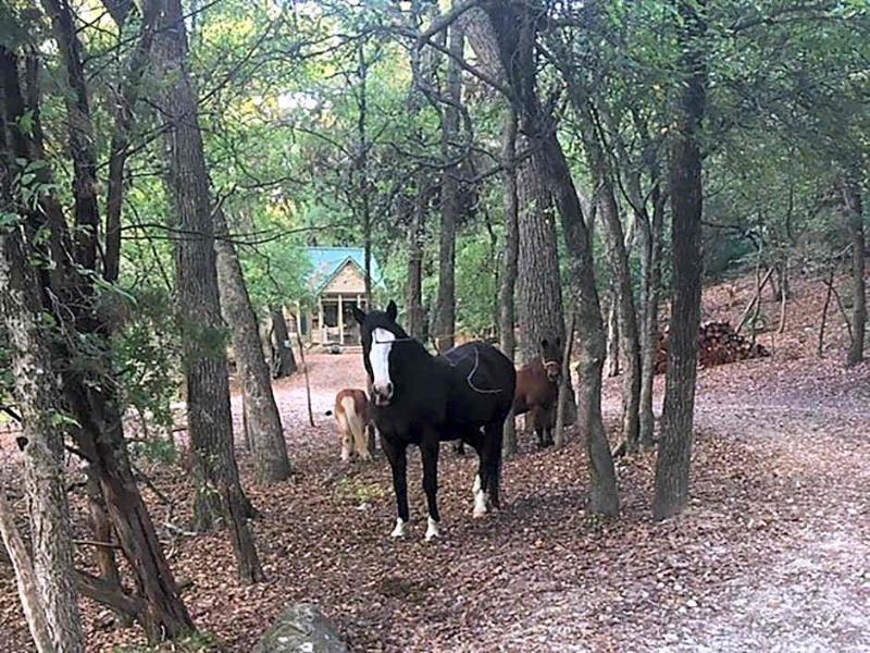 Country Woods Inn image
