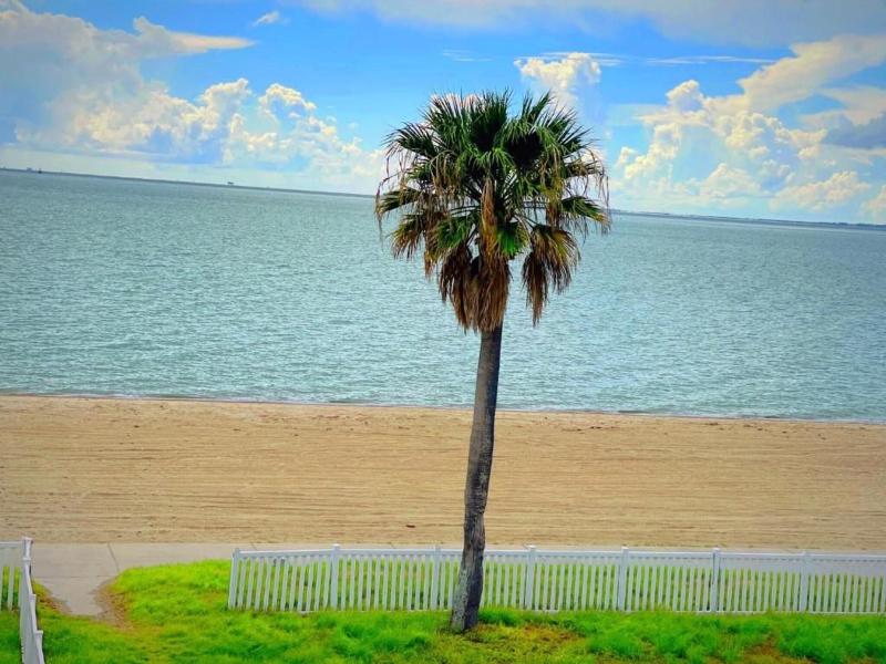 Sea Shell Inn Motel