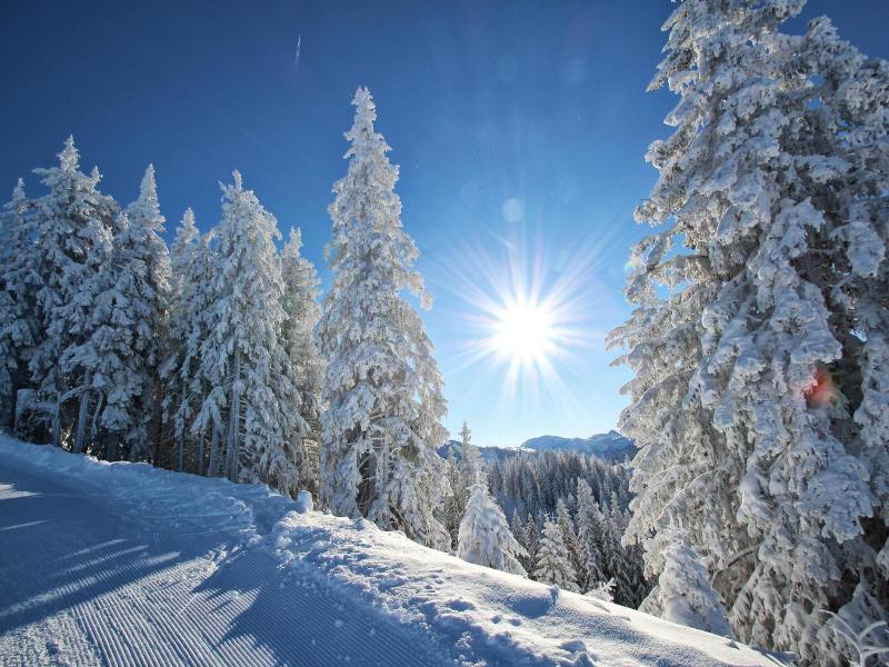 Hotel Alpenschlossl image